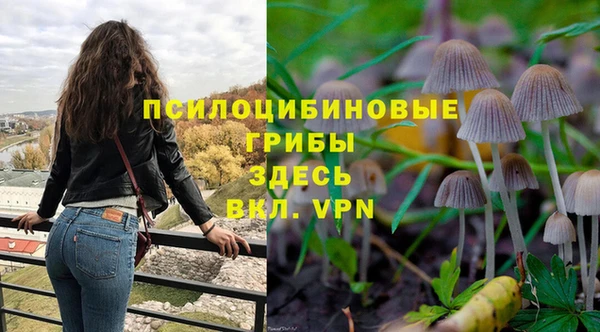 герыч Тобольск