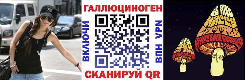 Галлюциногенные грибы Cubensis  где найти   Мариинск 